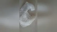 Anti